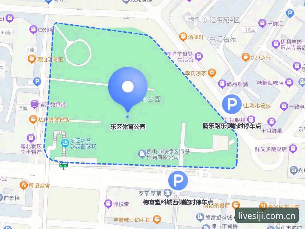 四季体育官方APP下载与使用完整指南：从注册到流畅看赛事的经验分享