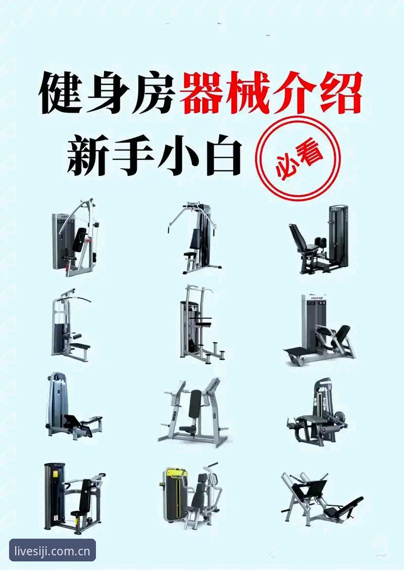 四季体育平台安全性详解：新手必看操作指南